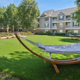 a grassy area with a hammock